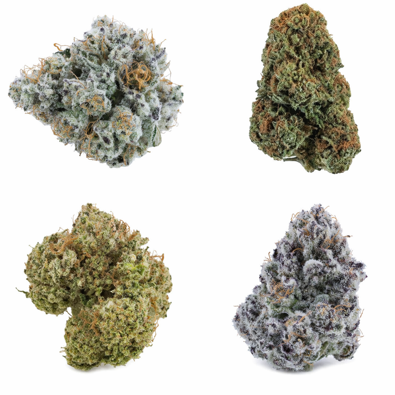 1 OZ Indoor Flower Sample Pack