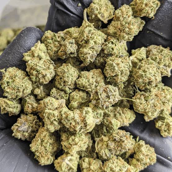 Budget Greenhouse Flower