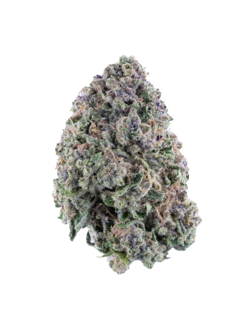 Close-up of a cannabis bud on a white background