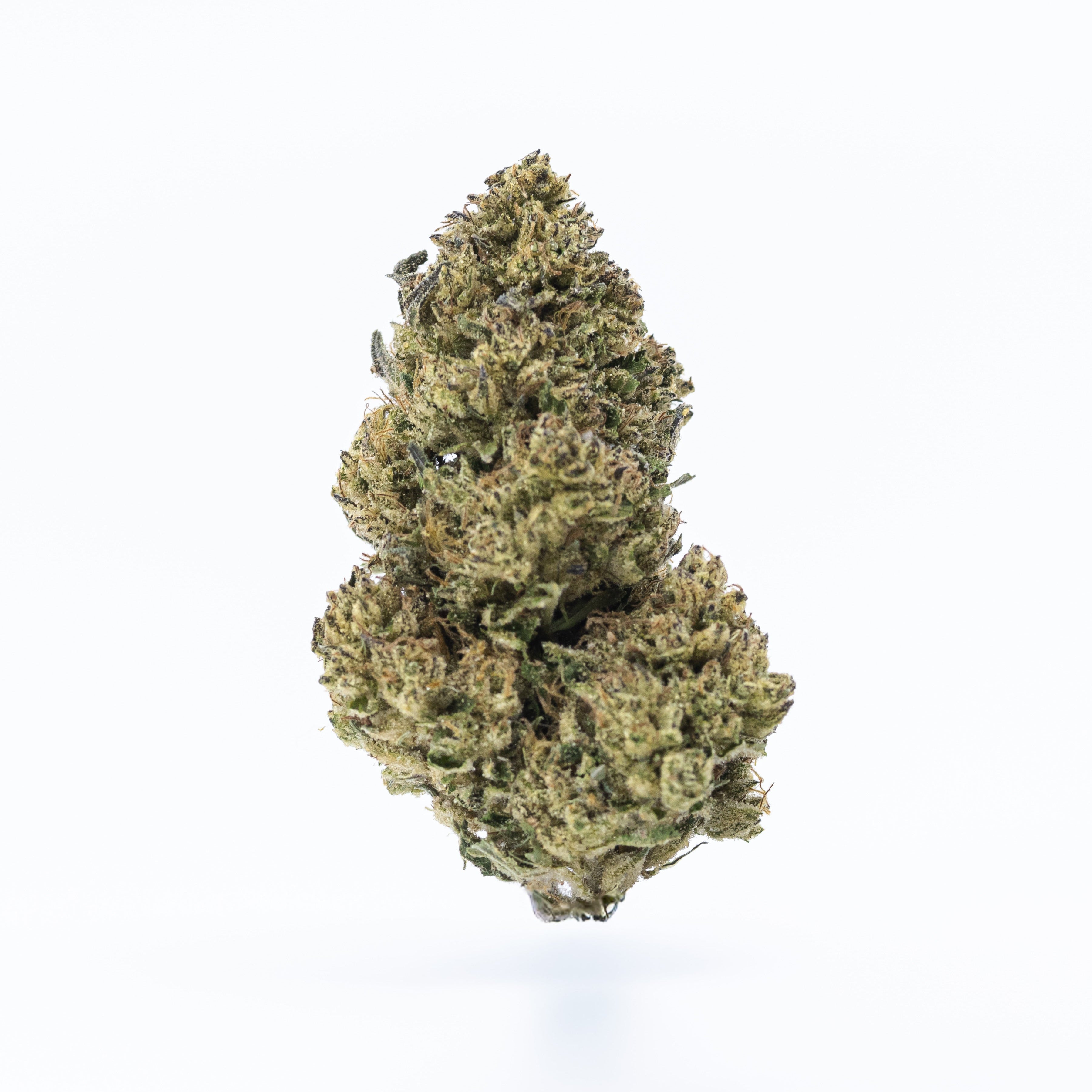 Banana Punch (Greenhouse Flower)