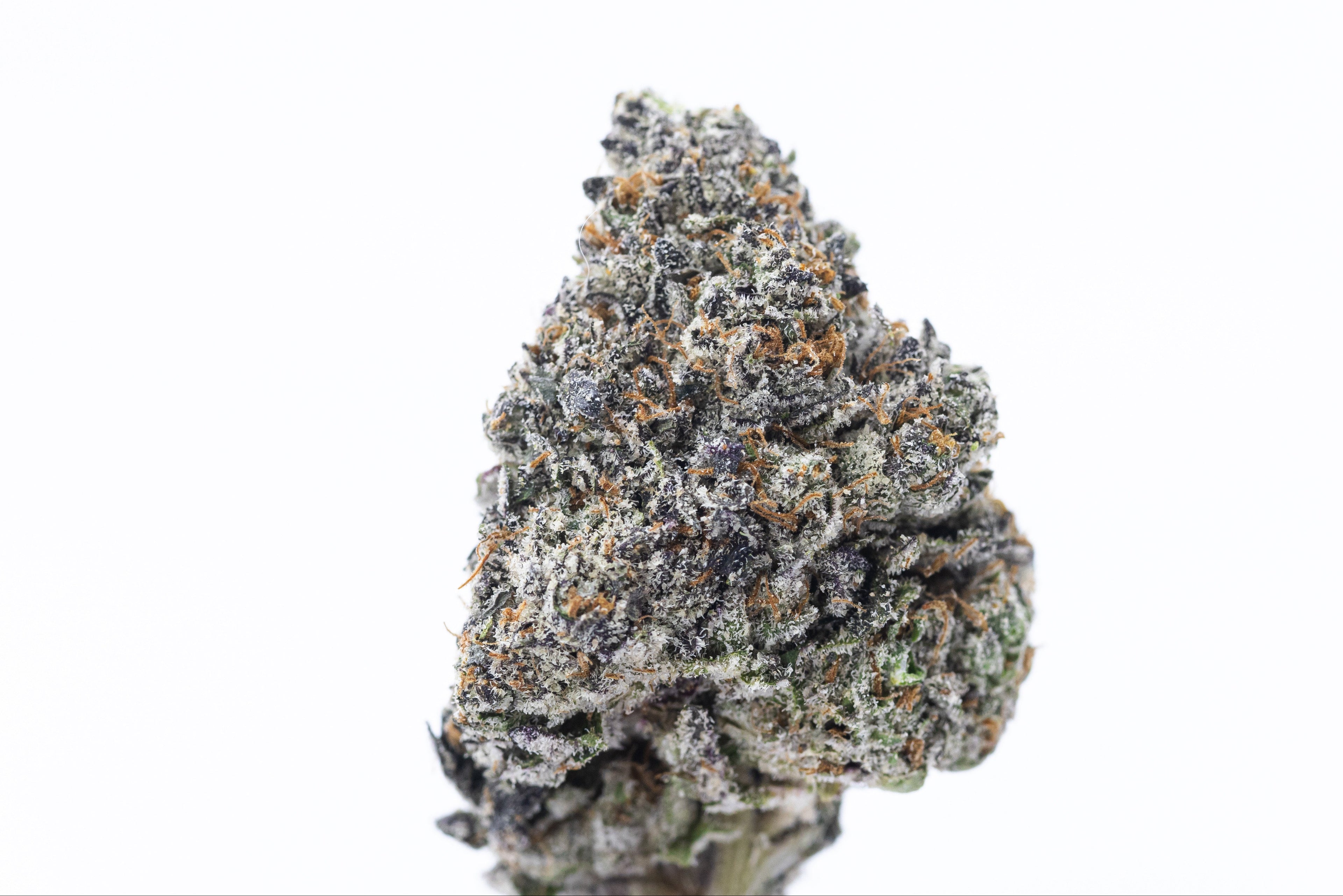 Cherry Runtz (Indoor Flower)