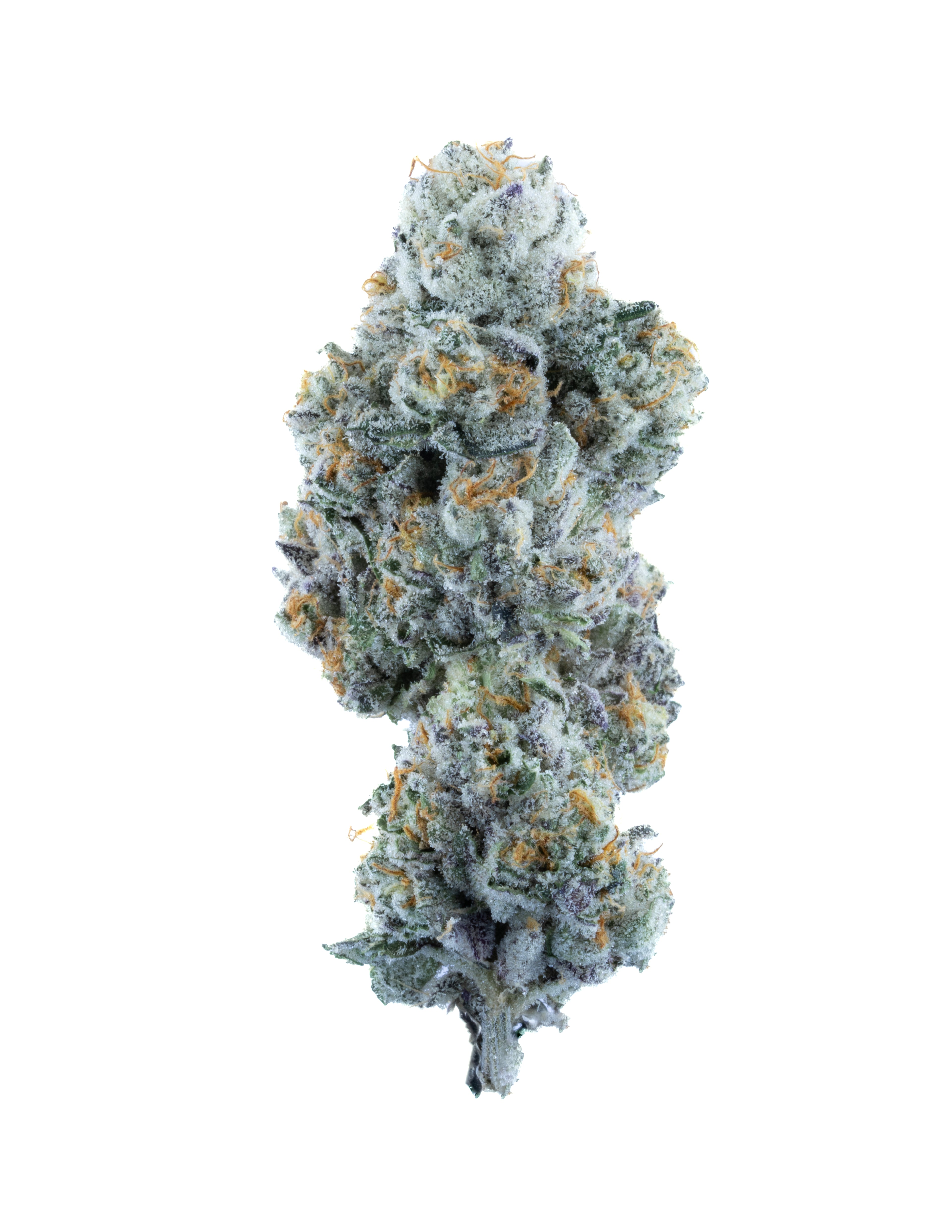 Glitter Bomb x Gas Face Hash Hole – Passion Orange Guava Rosin