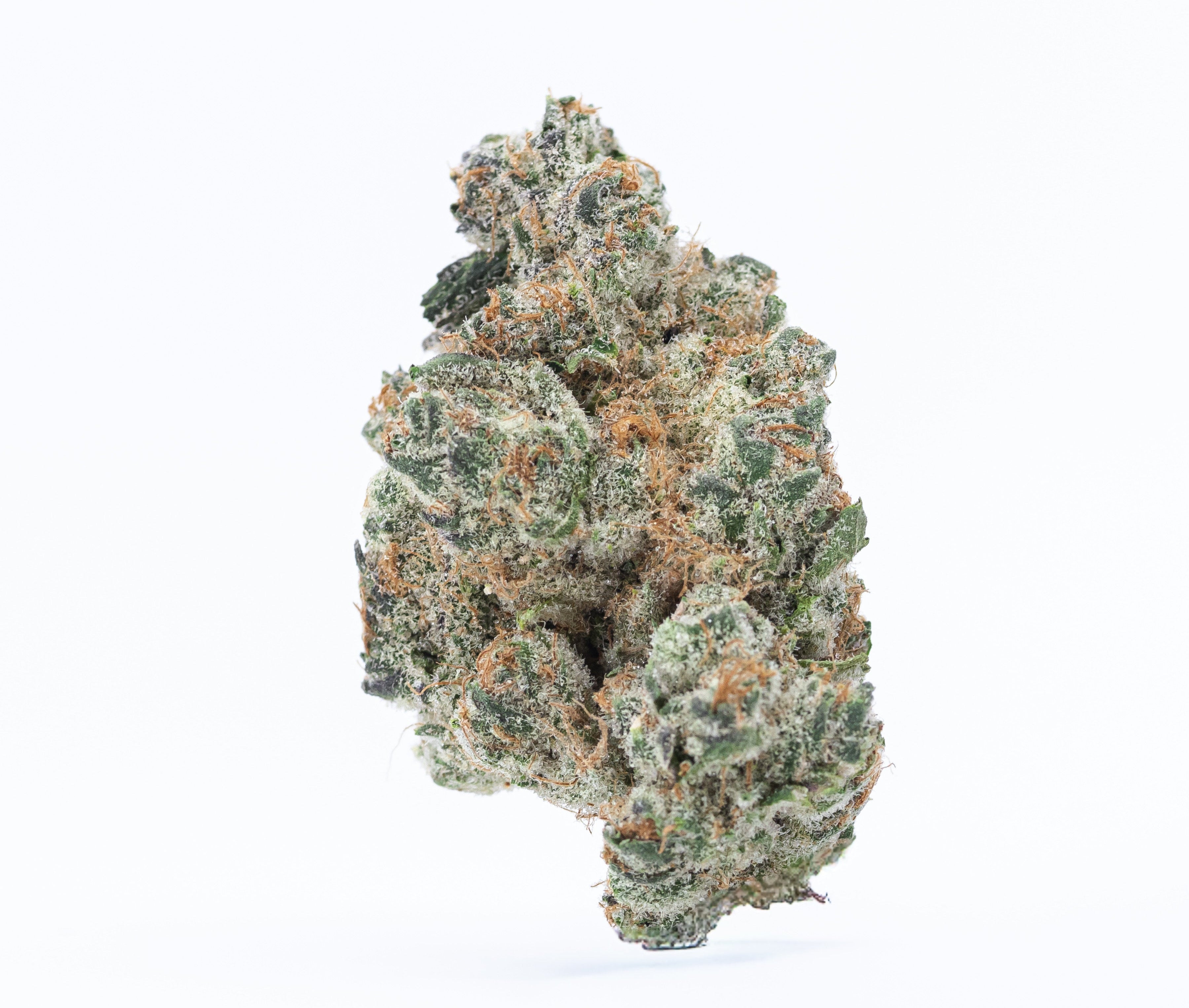 Gush Mints Hash Hole – Unicorn Poop Rosin