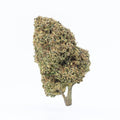 Lemon Chello (Greenhouse Flower)