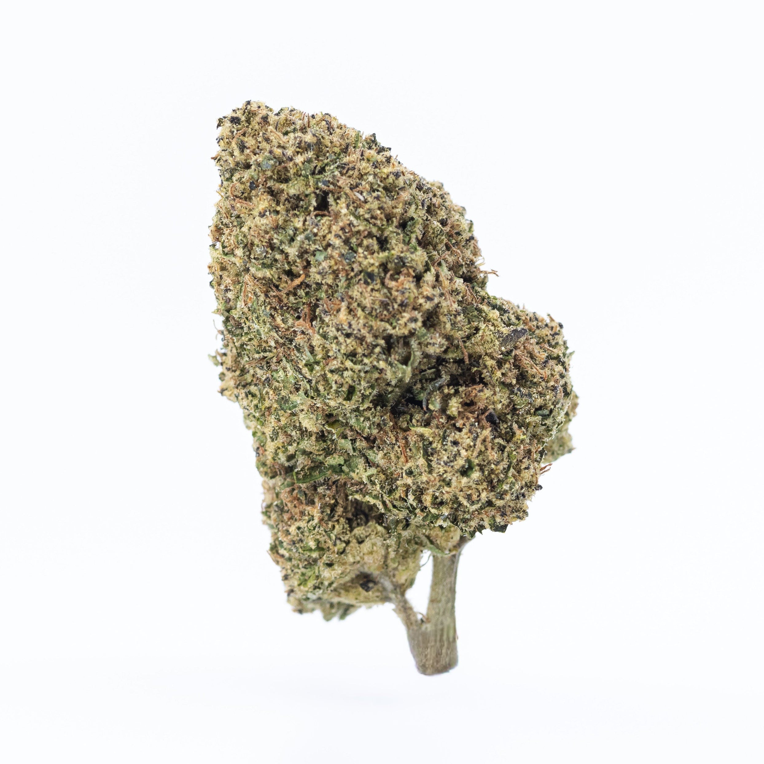 Lemon Chello (Greenhouse Flower)