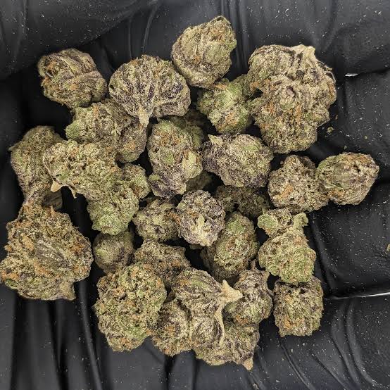 Budget Indoor Flower