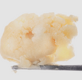 Close-up of a Papaya Peach Punch Rosin with a white background