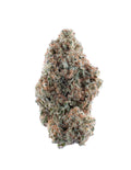 Papaya Cake (Indoor Flower)