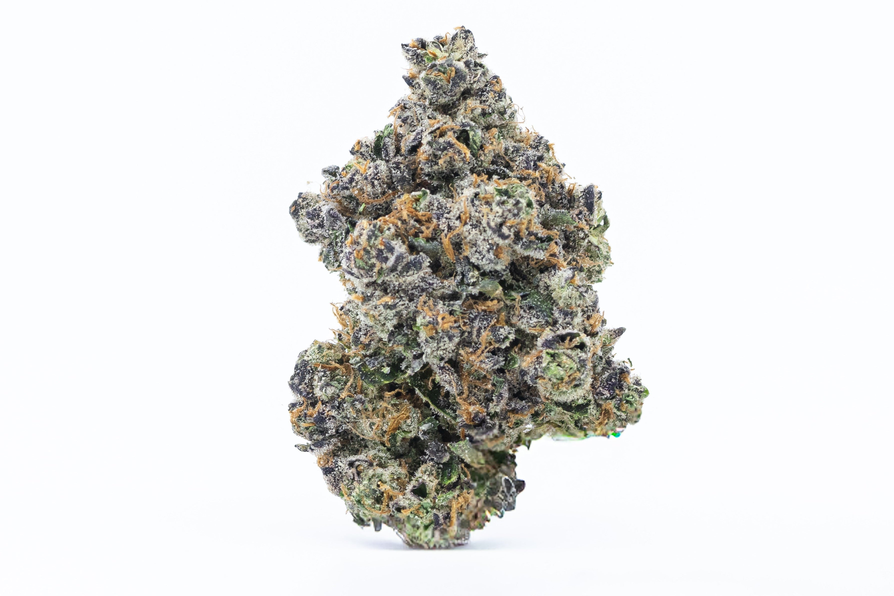 RS11 Hash Hole – Cambodian Haze Rosin